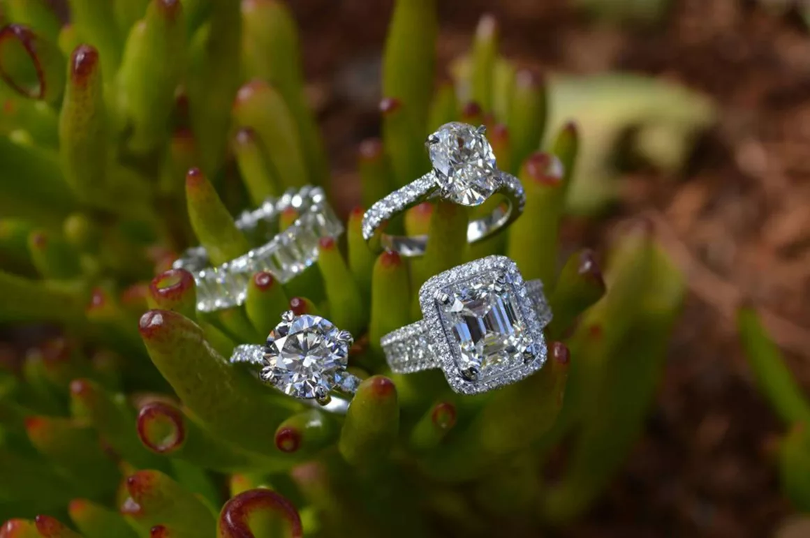 A collection of sparkling lab-grown diamond rings displayed on vibrant green succulent leaves, showcasing 2025 jewellery trends.