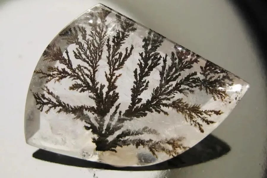 A polished cabochon of Dendritic Quartz with dark, fern-like mineral inclusions resembling delicate tree branches suspended within the clear crystal, illustrating the unique beauty of dendritic formations.