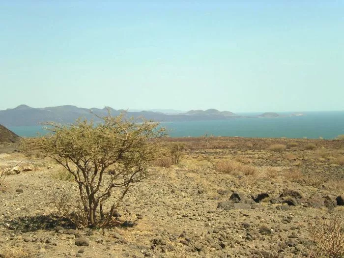 Vast aerial view of Lake Turkana with its jade-green waters surrounded by volcanic islands and arid landscape under a hazy sky.